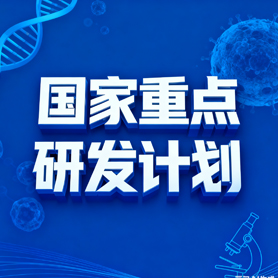 重点专项